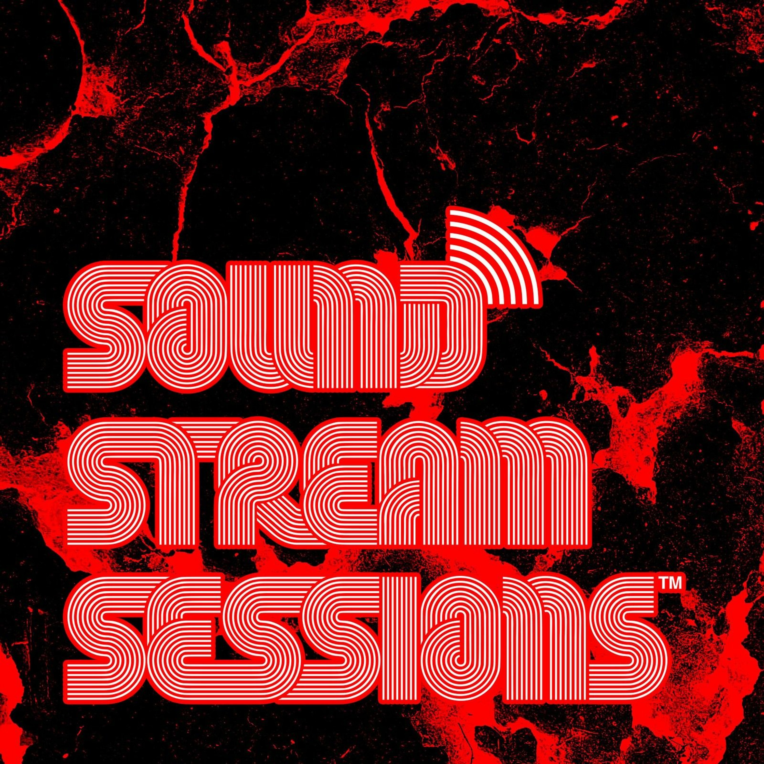 Guest Mix Vol.112 (Diverse Pressure) Live Drum and Bass Session episode artwork