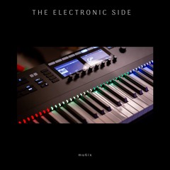 The Electronic Side