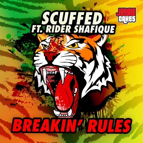 Breakin' Rules (Ft. Rider Shafique)