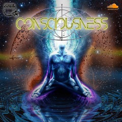 CONSCIOUSNESS
