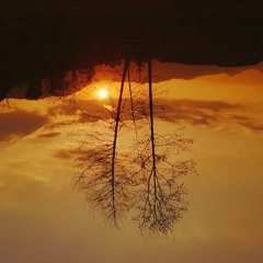A Horizon