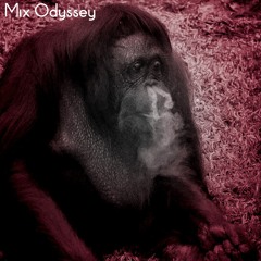 Mix Odyssey
