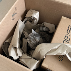 i made this song 5 years ago and remastered it