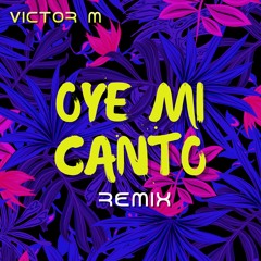 Oye Mi Canto (remix)