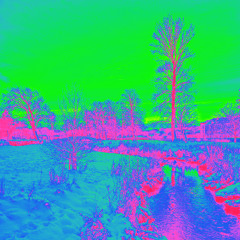 Toxic Scientist - Fractal Teeth