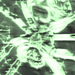 TRUSTN0BOD1 P.fiftyzeros