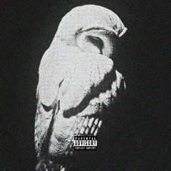 Drake - Sticky ( benzo.diaries remake )