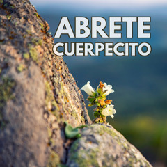 DJRonin & Gloria Zucchelli • Abrete Cuerpecito Live freestyle