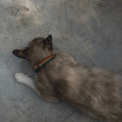 YOUNGOHM - แสงของเมืองใหญ่