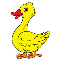 fluffing a duck
