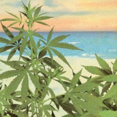 High with u