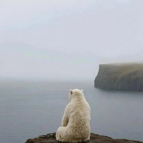 INFINITY