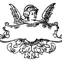 fialto FLY