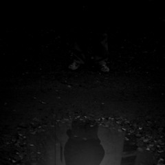 Two-State Solution WIP