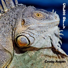 Carbon Belly SoundCloud Clip DEMO Unmixed_OUT Soon - Craig Aspin