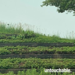 untouchable. [You Dont Wanna Fuck Wit]