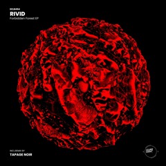 RiVid - Nemesis (Original Mix)