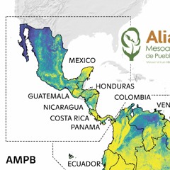030122 DReport Levi Sucre  Alianza Mesoamericana