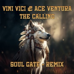 Vini Vici & Ace Ventura The Calling-( Soul Gate Remix 2023 )