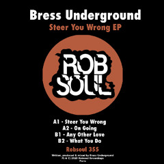 Bress Underground - Steer You Wrong