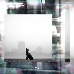 Metrozubdivision - Another Self (Destro Remix)