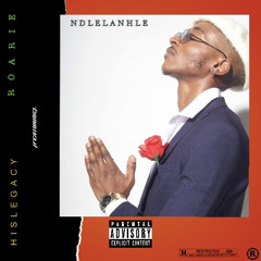 Ndlelanhle (feat. Roarie)