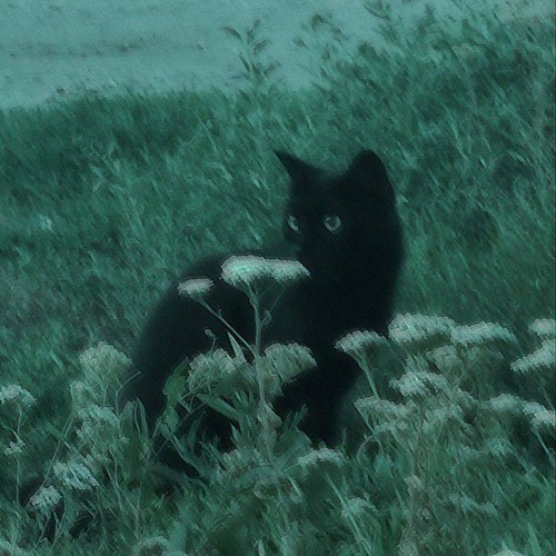 inevitability (slowed) - SNTNV, MITUJURO