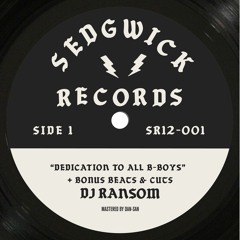 Dedication To All B-Boys - DJ Ransom