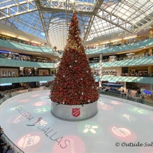 Best Things To Do In Dallas At Christmas Tours Review