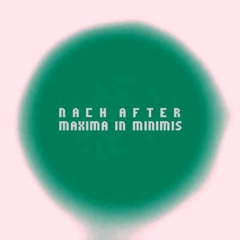 NachAfter-MaximaInMinimis 04 InAllOfItsPossibleStates