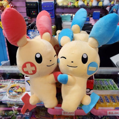 -PLUSLE N MINUN+