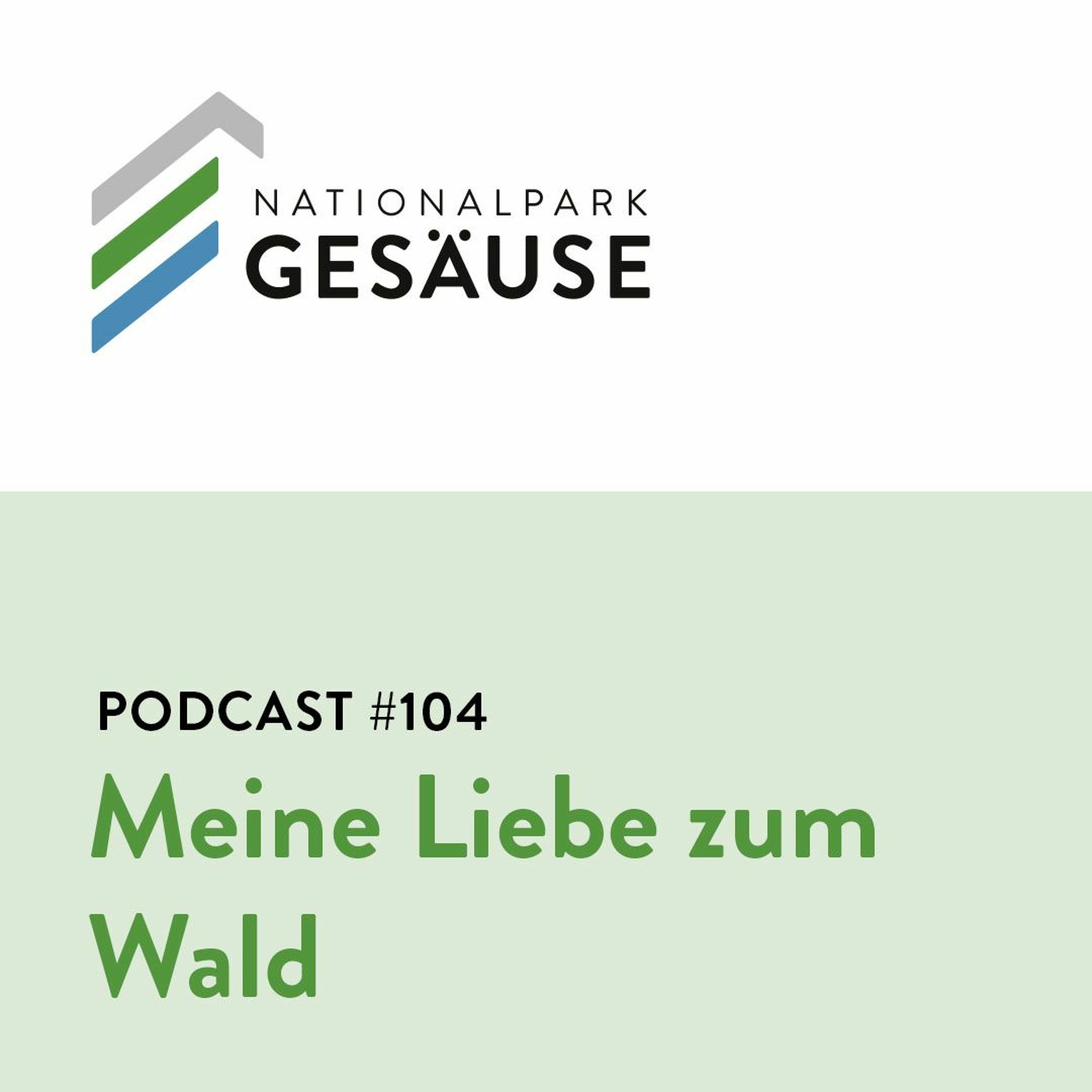 Podcast #104 - Meine Liebe Zum Wald episode artwork