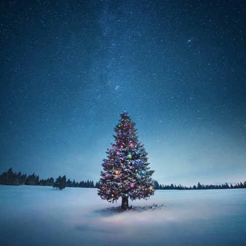 Island Banks - Christmas Without You (Radio Edit)