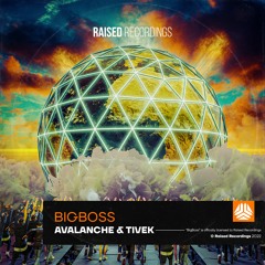 AvAlanche & Tivek - BigBoss