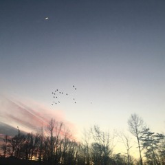 A Fond Farewell- Elliot Smith cover ft. Curtis Cooper