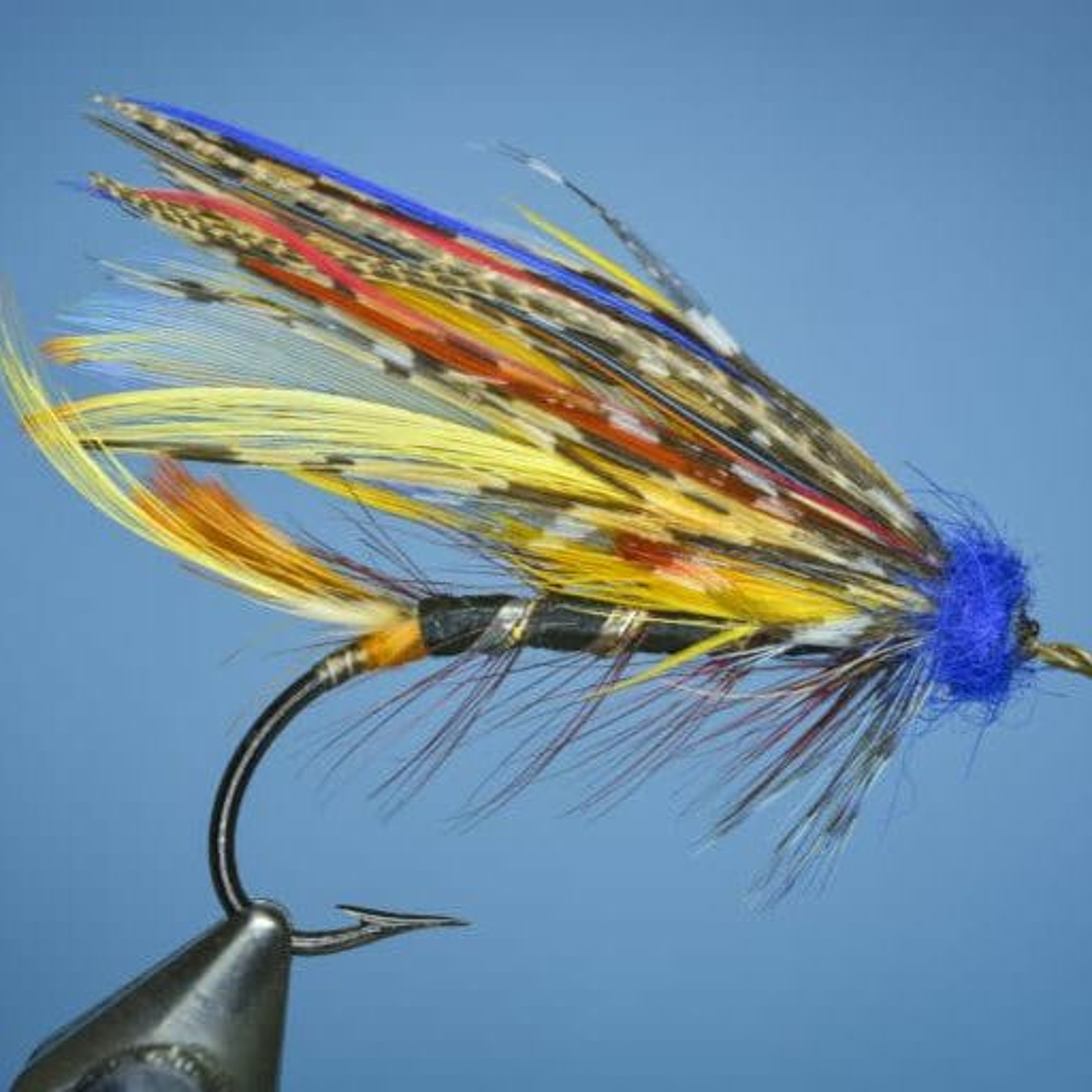 Peche en irlande