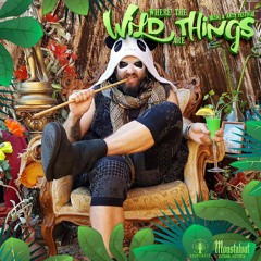 PANDORRR @ Where The Wild Things Are Festival, AU [2022]