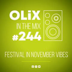 Festival in November Vibes