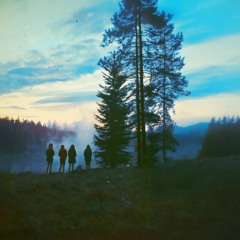 Searchlights in the Frost (William)