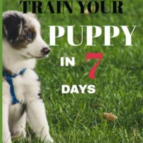 Stream episode PDF How To Potty Train Your Puppy In 7 days Complete