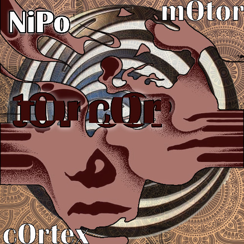 Motor Cortex