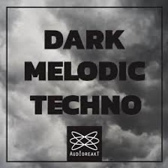 Melodic Techno Vol 14