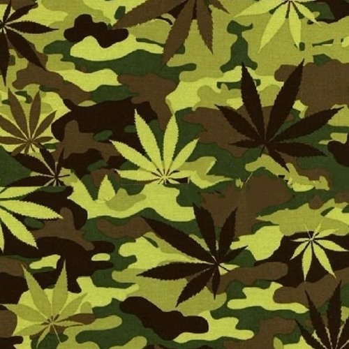 eck2vulgar- bud (4mula)