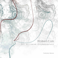 Momentum
