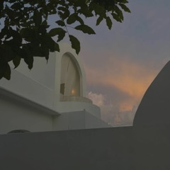 Hermarion | Digestive Wellness