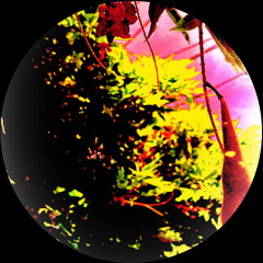 Brender & KOMSA - Bek [FREE DOWNLOAD]