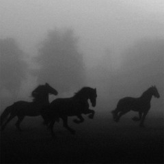 'FREE' МАСЛО ЧЕРНОГО ТМИНА TYPE BEAT - ASIA