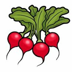 Beets for daze