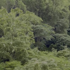 smokeintheair (MUSIC VIDEO IN DESC.)