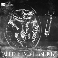 "NEEDLE IN A HAYSTACK"
